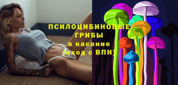 бутик Гусь-Хрустальный